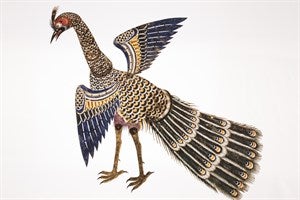 Image description is not available for DU1969.144